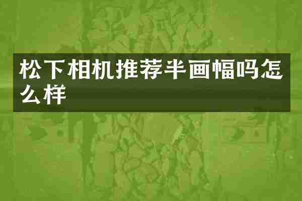 松下相机推荐半画幅吗怎么样