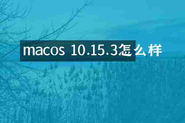 macos 10.15.3怎么样