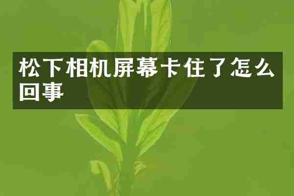 松下相机屏幕卡住了怎么回事