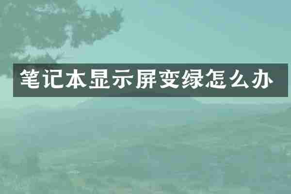 笔记本显示屏变绿怎么办
