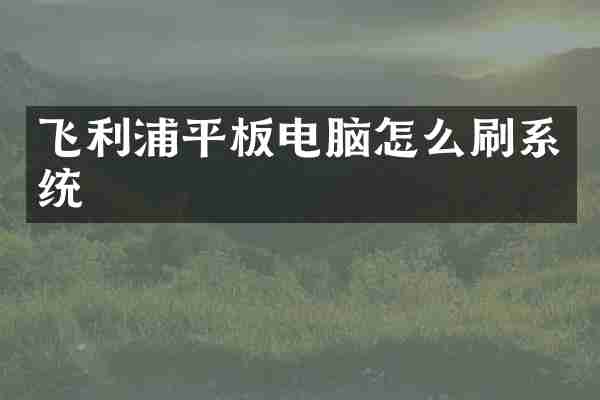 飞利浦平板电脑怎么刷系统