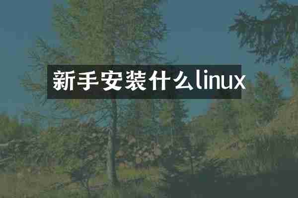 新手安装什么linux