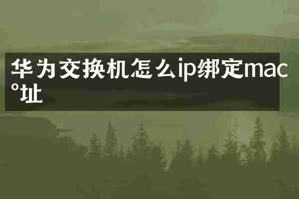 华为交换机怎么ip绑定mac地址