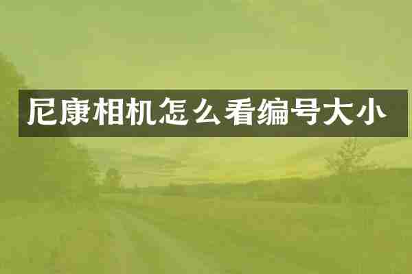 尼康相机怎么看编号大小