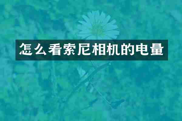 怎么看索尼相机的电量