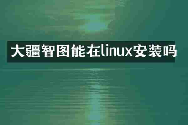 大疆智图能在linux安装吗
