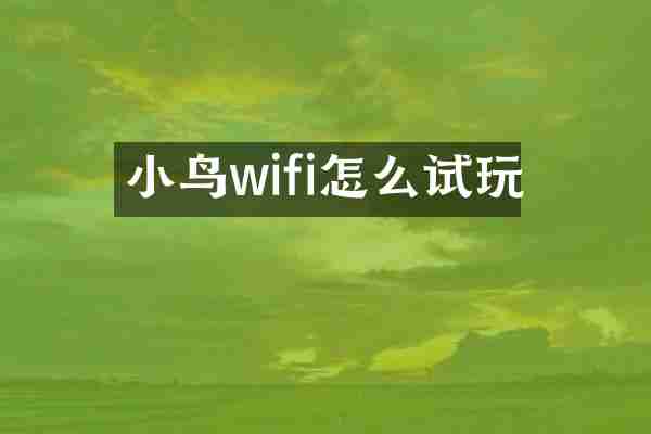 小鸟wifi怎么试玩