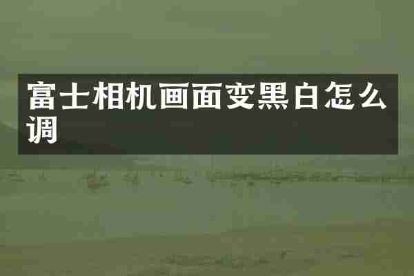富士相机画面变黑白怎么调