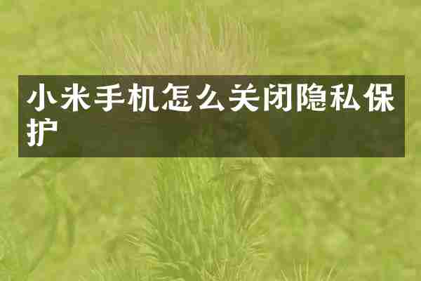 小米手机怎么关闭隐私保护