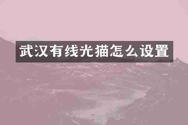 武汉有线光猫怎么设置