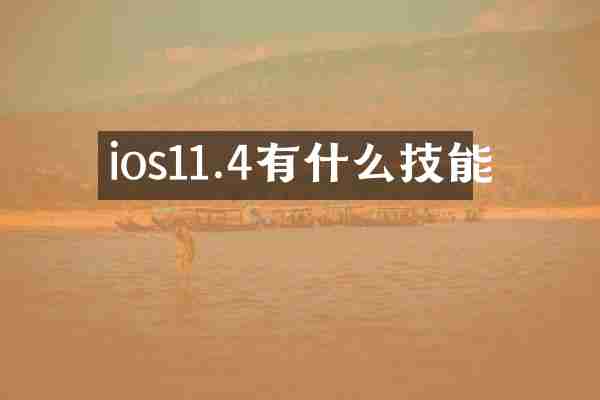 ios11.4有什么技能