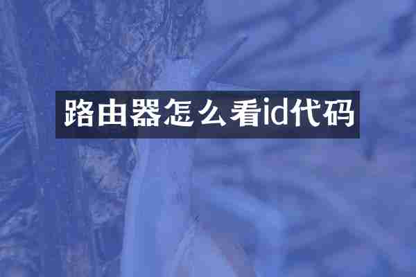 路由器怎么看id代码