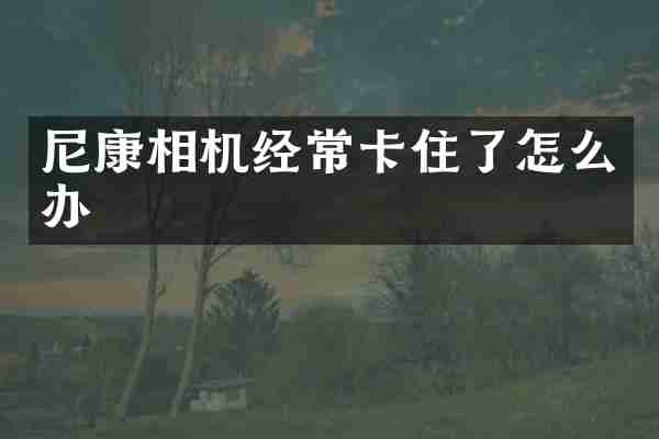 尼康相机经常卡住了怎么办