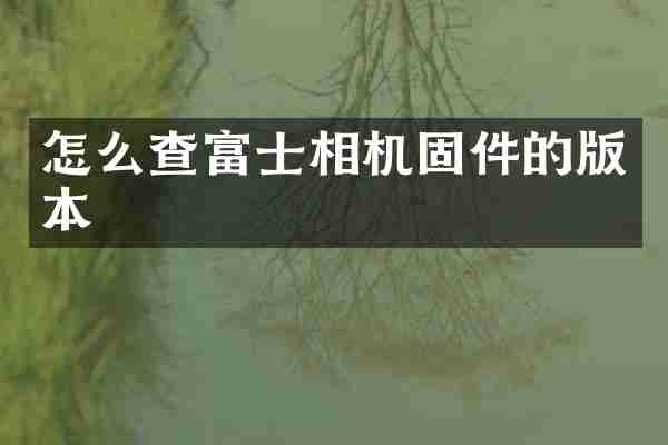 怎么查富士相机固件的版本