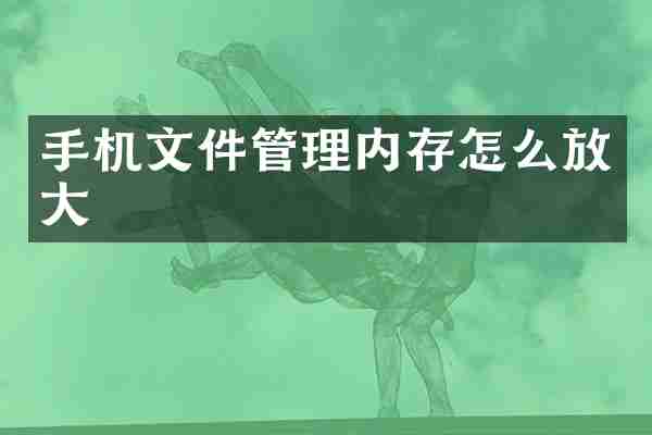 手机文件管理内存怎么放大
