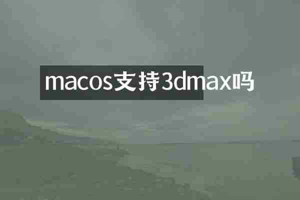macos支持3dmax吗