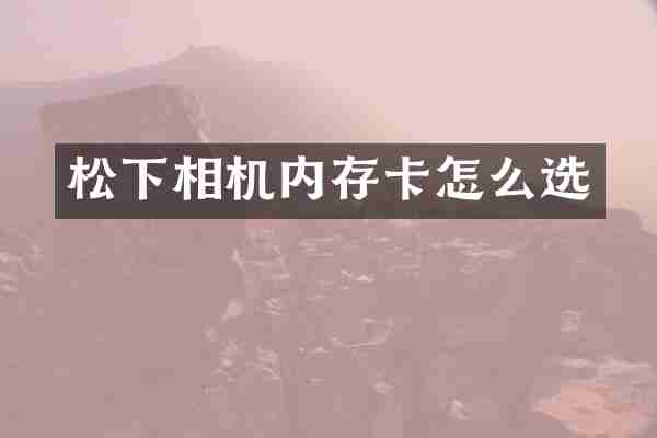 松下相机内存卡怎么选