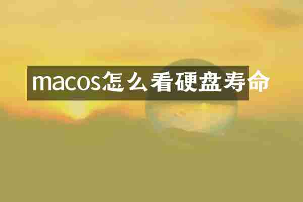 macos怎么看硬盘寿命