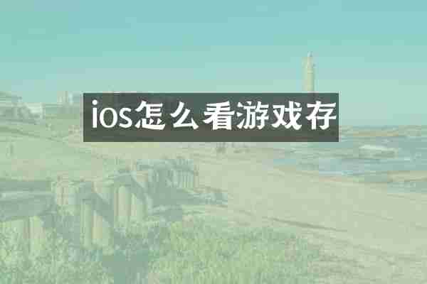 ios怎么看游戏存