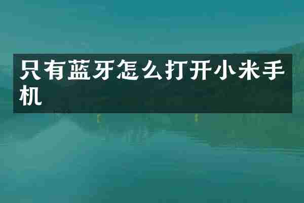 只有蓝牙怎么打开小米手机