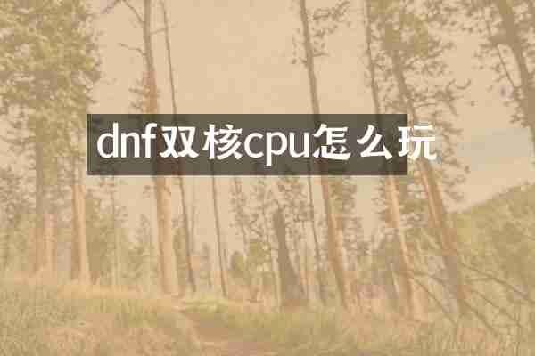 dnf双核cpu怎么玩