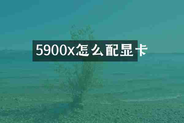 5900x怎么配显卡
