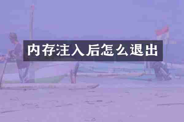 内存注入后怎么退出