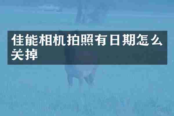 佳能相机拍照有日期怎么关掉