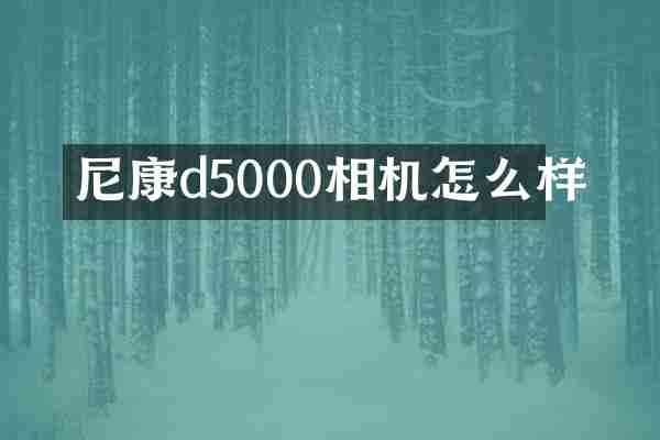 尼康d5000相机怎么样