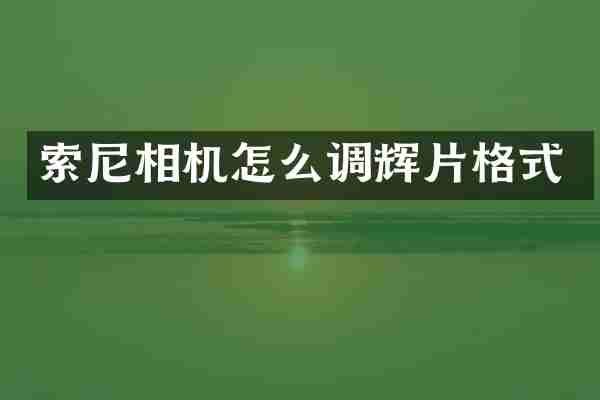 索尼相机怎么调辉片格式