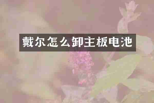 戴尔怎么卸主板电池
