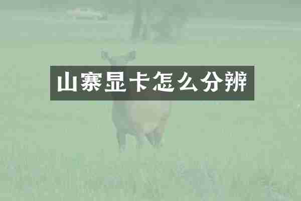 山寨显卡怎么分辨