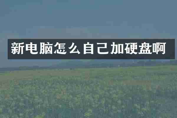 新电脑怎么自己加硬盘啊
