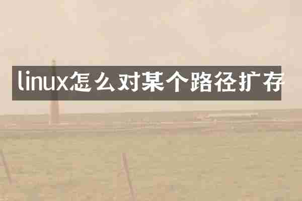 linux怎么对某个路径扩存
