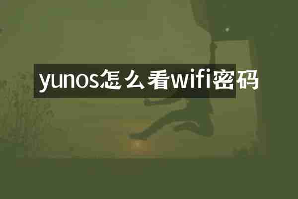 yunos怎么看wifi密码