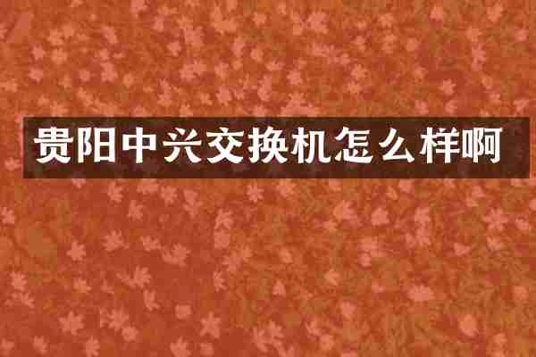贵阳中兴交换机怎么样啊
