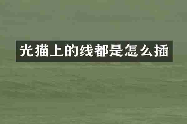 光猫上的线都是怎么插