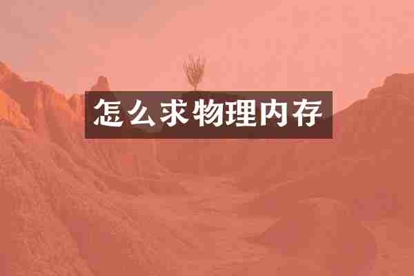 怎么求物理内存