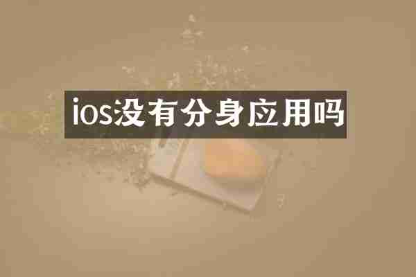 ios没有分身应用吗