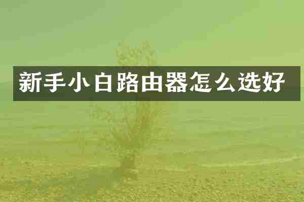 新手小白路由器怎么选好