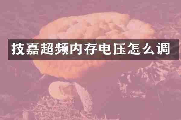 技嘉超频内存电压怎么调