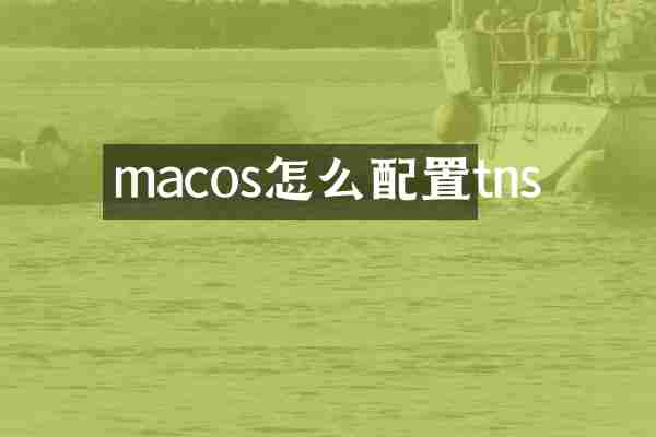 macos怎么配置tns