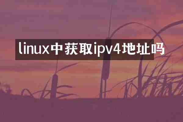 linux中获取ipv4地址吗