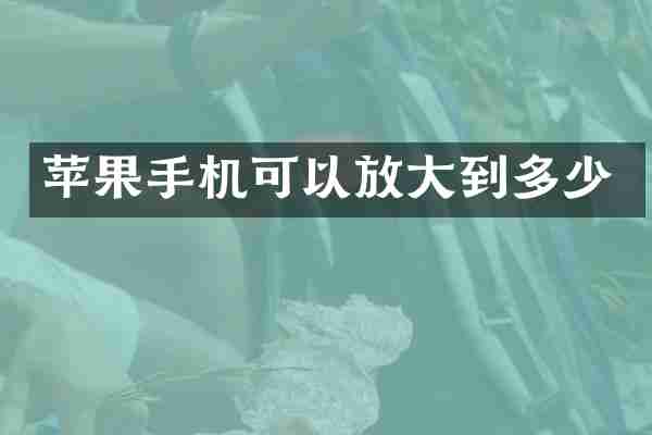 苹果手机可以放大到多少