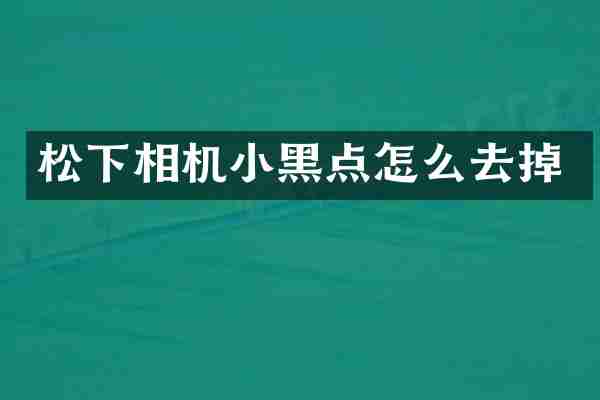 松下相机小黑点怎么去掉