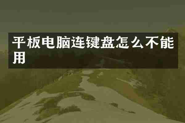 平板电脑连键盘怎么不能用