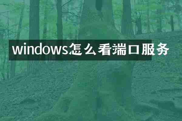 windows怎么看端口服务