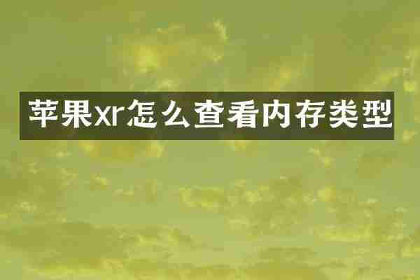 苹果xr怎么查看内存类型
