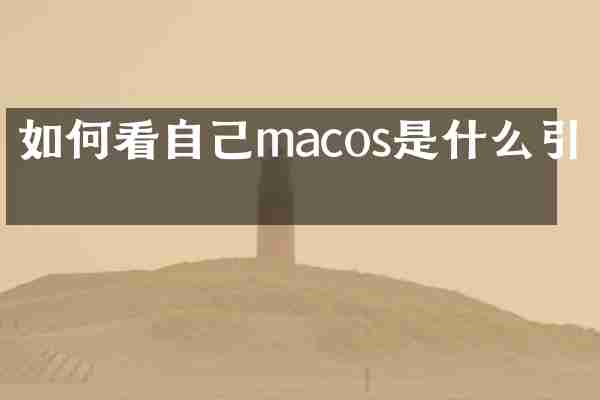 如何看自己macos是什么引导