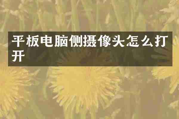平板电脑侧摄像头怎么打开